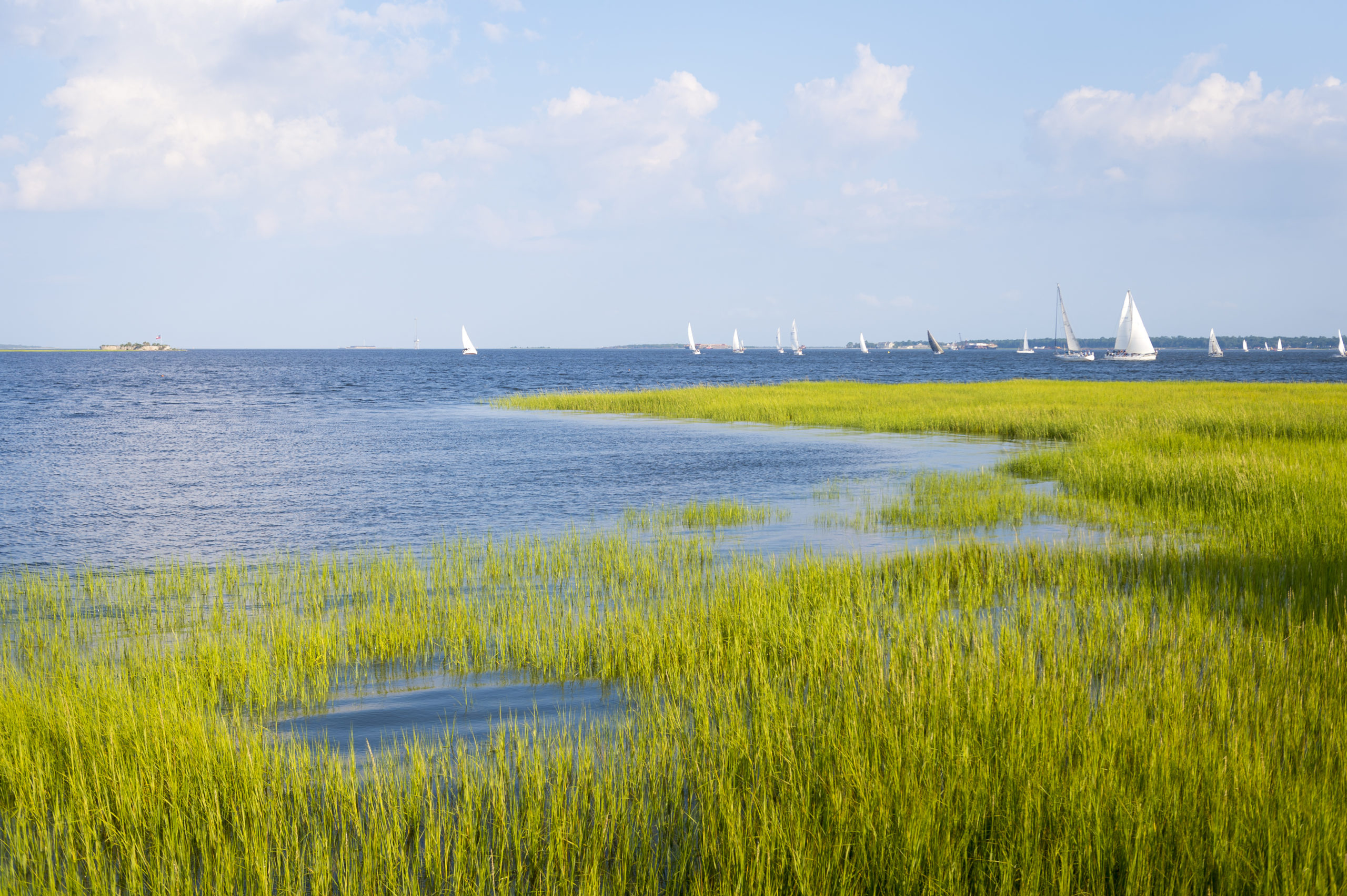 Scenery of the Lowcountry 