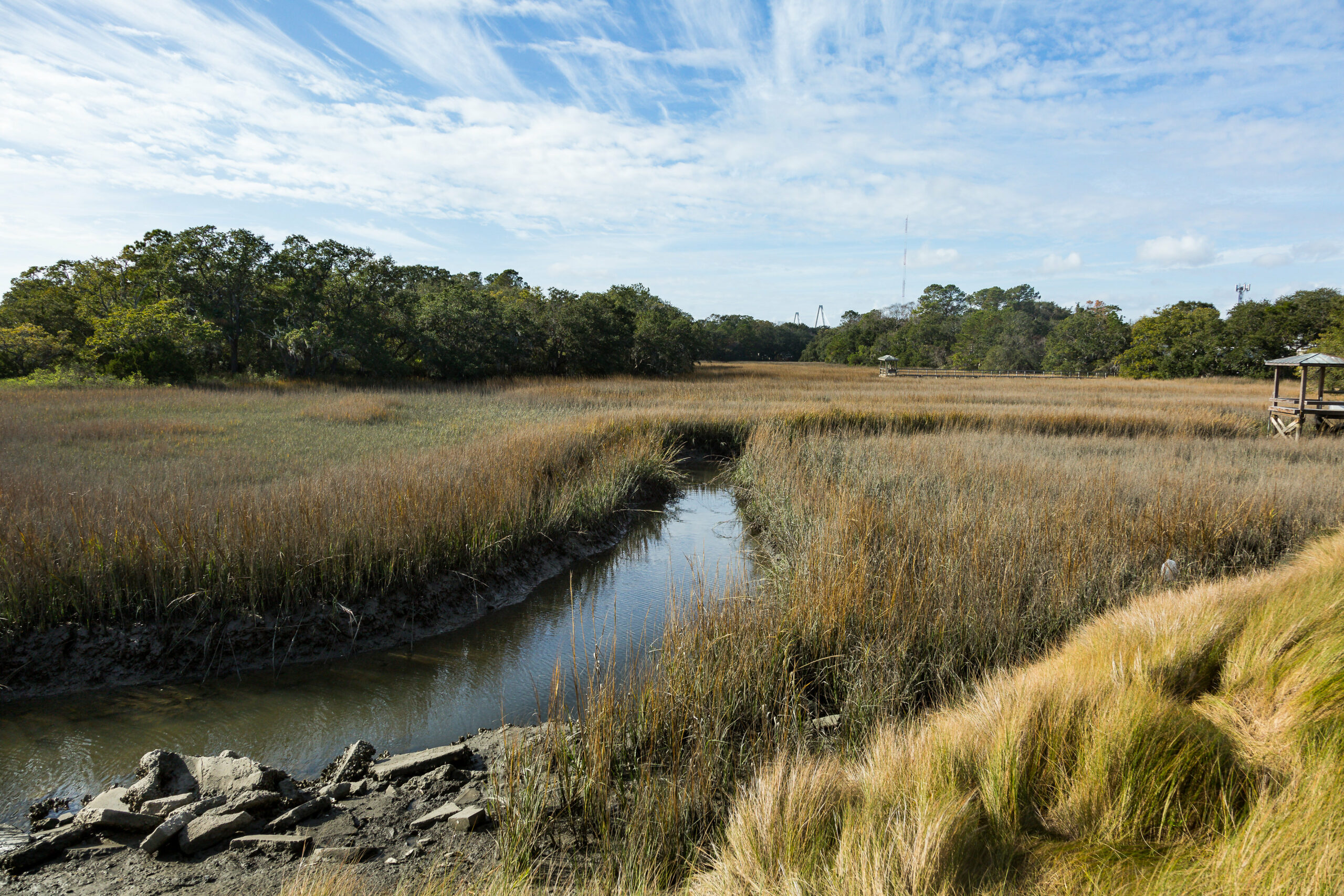 The Healthy Harbors Fund will support healthy waterways throughout the greater Charleston area